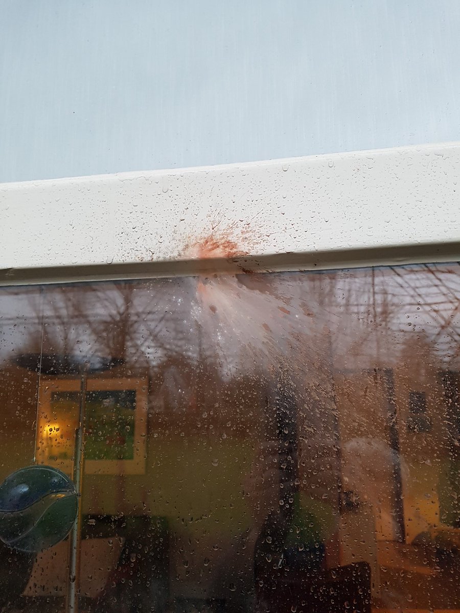 @politieassen een geesteszieke ziel richt vuurpijl op kamerraam. Nu afwachten of het raam lek is geslagen.