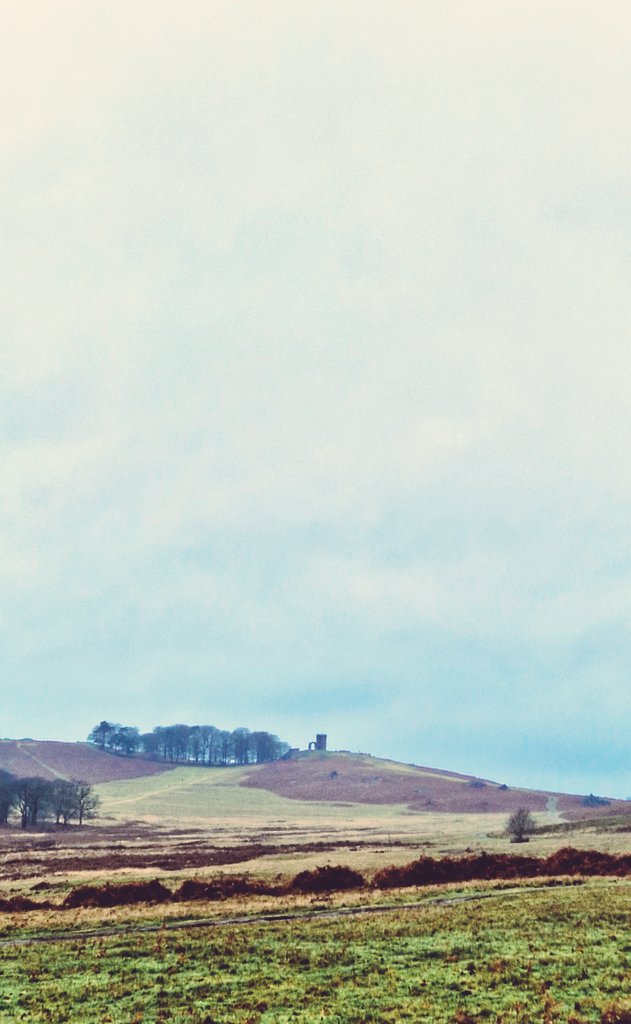 ChohanSmita's tweet photo. The random days in between Christmas and NY wouldn't be the same without a walk in Bradgate Park IYKYK🌲🦌 #bradgatepark #leicester https://t.co/mEsgzvtdo9