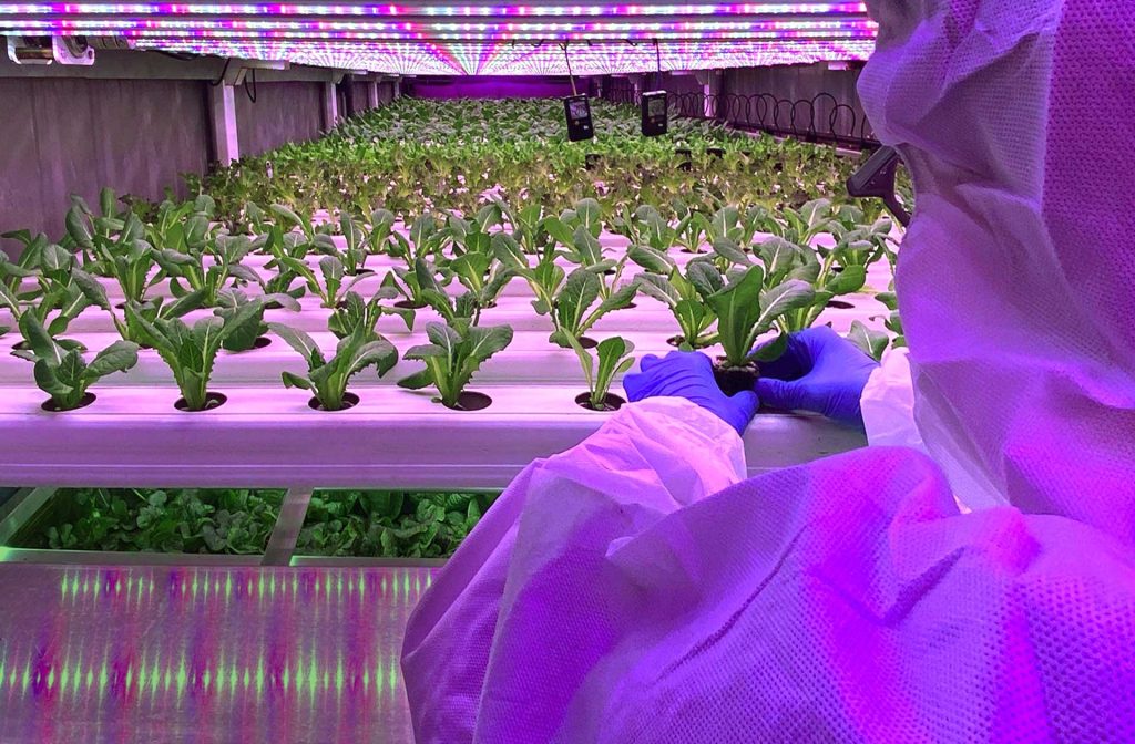 Closing off 2022 with an honourable mention for our contribution to a more sustainable tomorrow by <a href="/SantanderX/">Santander X</a> 🌱👏 We look forward to creating more impact in 2023!

#AgTech #FoodTech #SustainableAgriculture #IndoorFarming