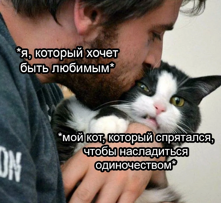 liltonder's tweet photo. https://t.co/YwlSS3CFFs