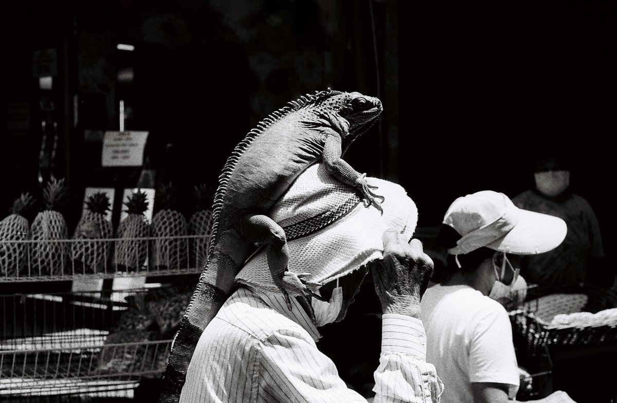FishMonkeyCow_'s tweet photo. Black and white days in Hong Kong 🇭🇰 https://t.co/CaFF9gTgWZ