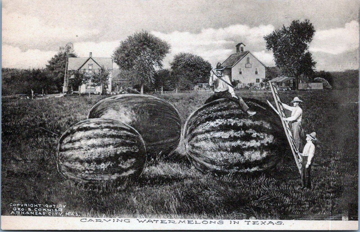 Traces of Texas tweet media