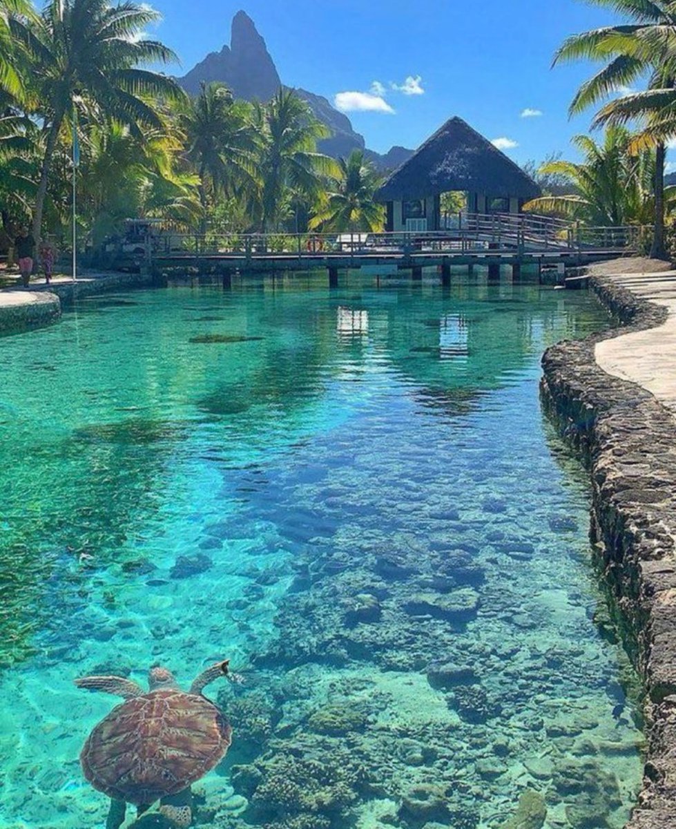 TheClearedMind's tweet image. 10 Places you need to visit in your life:

1. Bora Bora