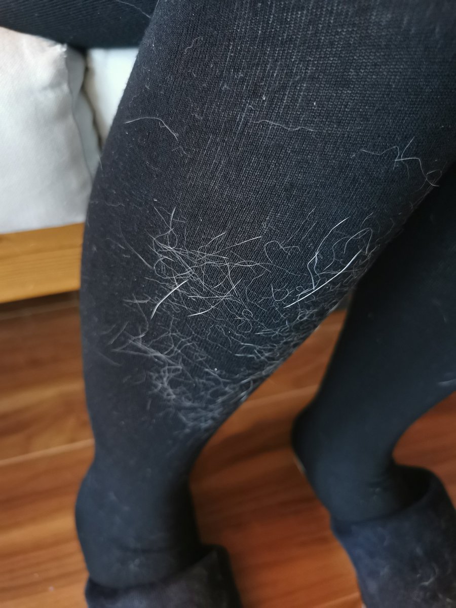 9seii's tweet photo. Wearing black tights be like https://t.co/hWb4P2U2hs