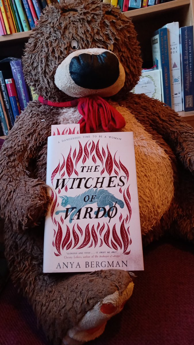 #WhatDougsReading : Today Hugless Douglas is reading @anyacbergman 's The Witches of Vardo, just arrived from @ZaffreBooks 

#books #ChooseBookshops