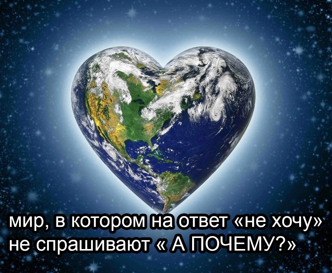 ужасные мемы (@liltonder) on Twitter photo 