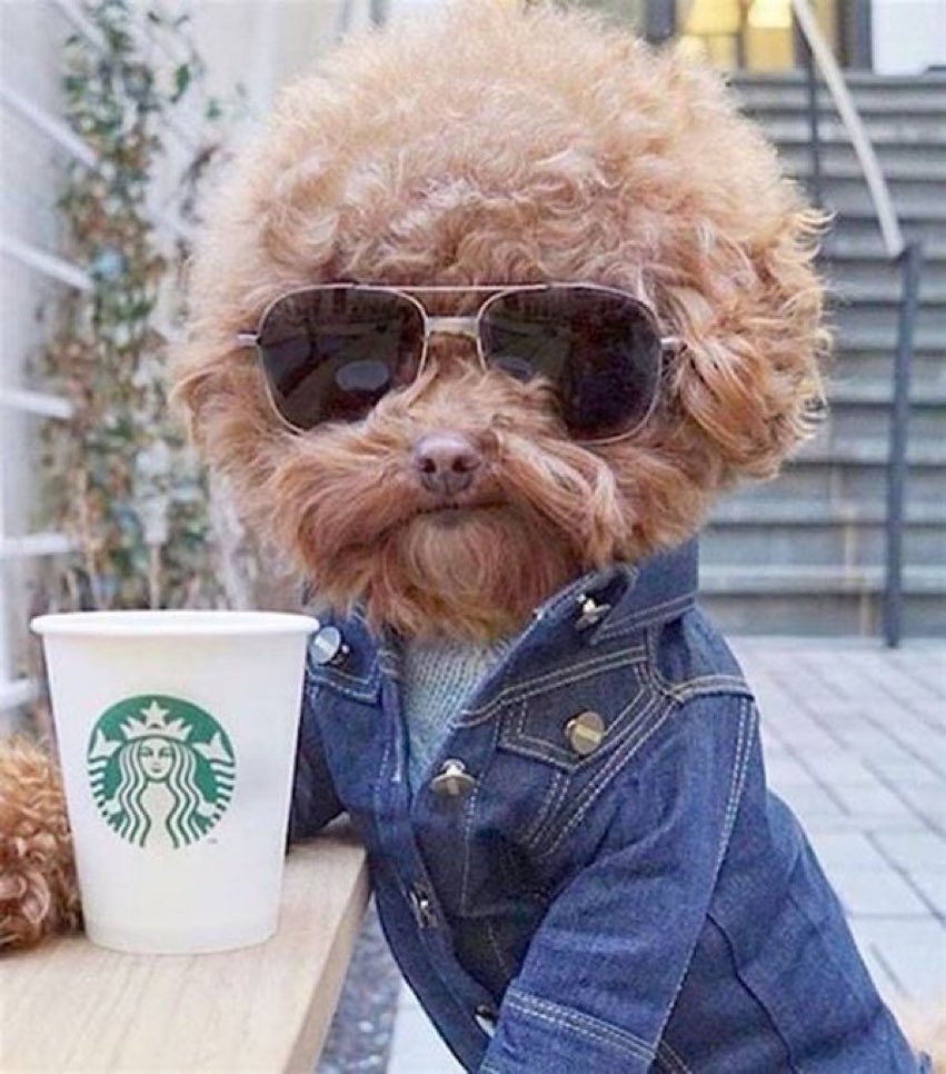Happy birthday Jeff Lynne 