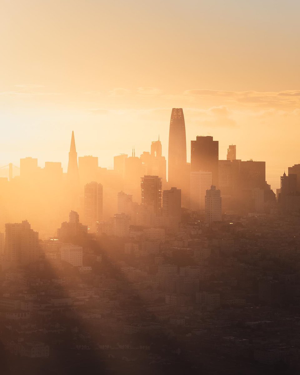 meshna's tweet photo. San Francisco from Above 🚁

Which is your fave? https://t.co/XyphJEJBHB
