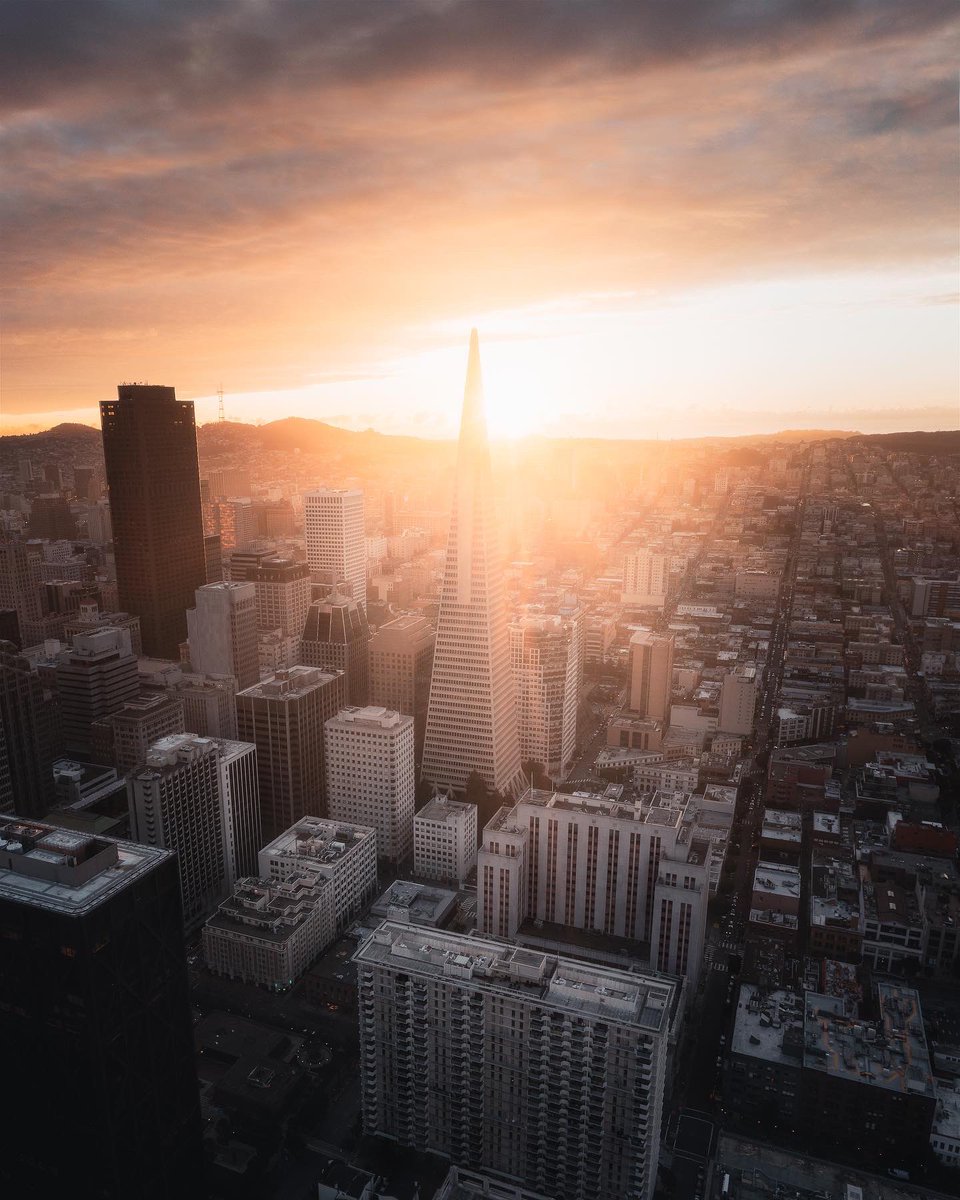 meshna's tweet photo. San Francisco from Above 🚁

Which is your fave? https://t.co/XyphJEJBHB