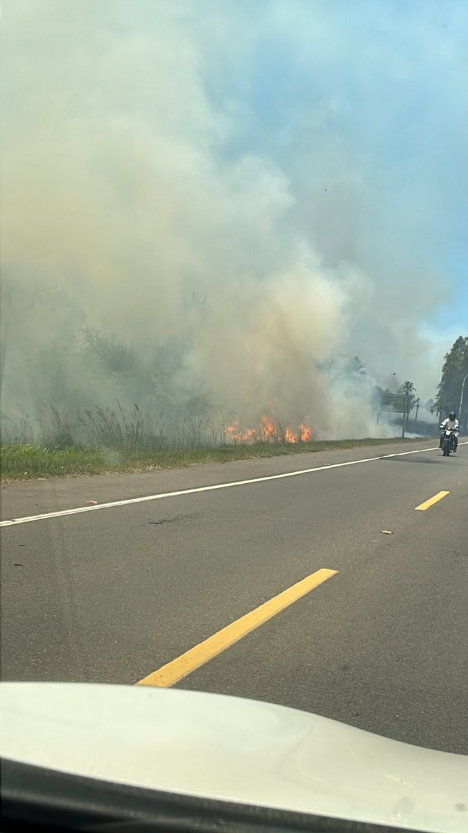 malauraop's tweet photo. Ruta Luque - Sanber @msaludpy @mambiente_py @mopcparaguay @policia_py https://t.co/sdnaNJLepF