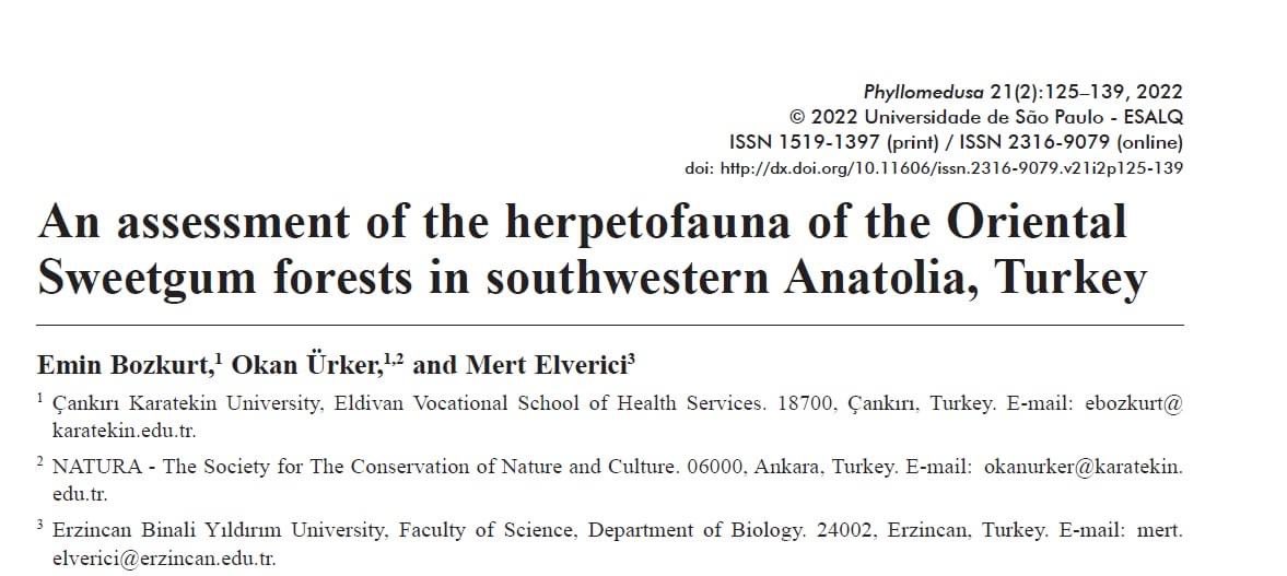 OkanUrker's tweet photo. Yılın son günü yeni makalemiz yayında!

Anadolu Sığla Ormanları'nda yürüttüğümüz herpetofauna çalışmalarına ait bulgularımız Phyllomedusa isimli SCI dergide yayınlanmıştır. Detaylara ve makalenin tamamına aşağıdaki linkten erişebilirsiniz.
https://t.co/XodY7buKvE https://t.co/FvH5iwDNnT