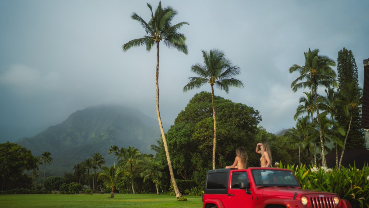 braybraywoowoo's tweet photo. gm. let’s go on an adventure 🌈🚘🌴 https://t.co/GLhpufhZYR