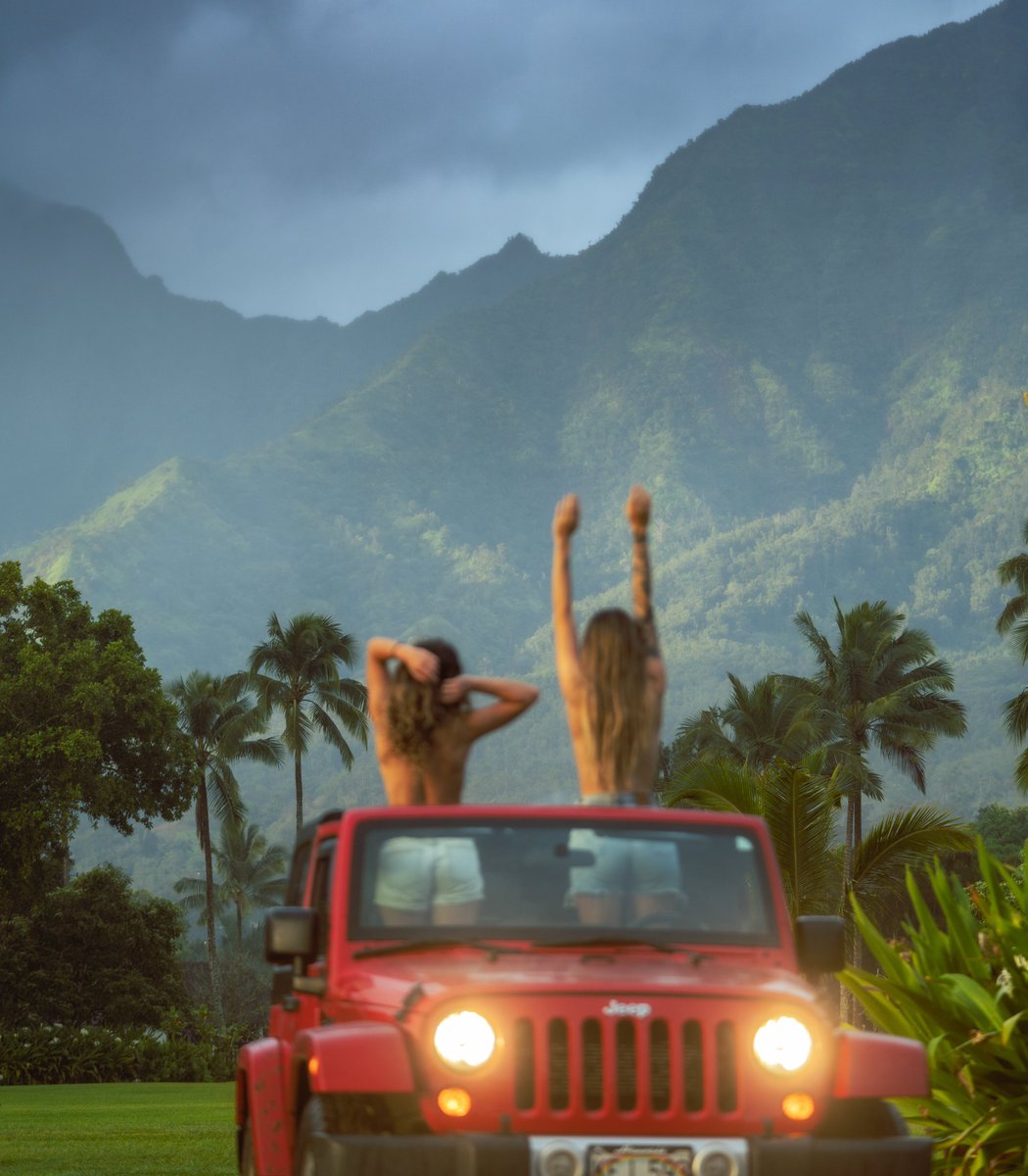 braybraywoowoo's tweet photo. gm. let’s go on an adventure 🌈🚘🌴 https://t.co/GLhpufhZYR