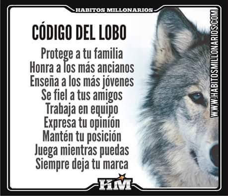 ronyjuarez's tweet photo. Que tengan un gran día en #tweeterland @Pharmaguru1 @alex_vaskez @adrian_benfield @jaqueline_oax @DoroteoMorro @adrian_benfield @Andremmar @armando_chavo @ernestofuca @Laura_354523 @MoisesMolina @rcv04 @oax_77 @CarlosAudelo_ @CarlosGraulope2 @DonDevaluacion @ https://t.co/veXNXTqawq
