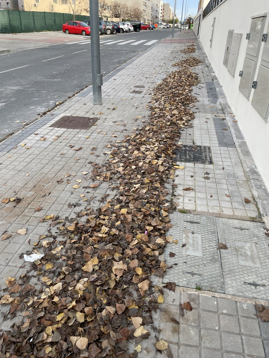 lomuu's tweet photo. @EsmasAlcorcon Buenas tardes, ¿podríais pasaros por la Calle Bucraa? Muchas gracias https://t.co/mblLG4BUu7