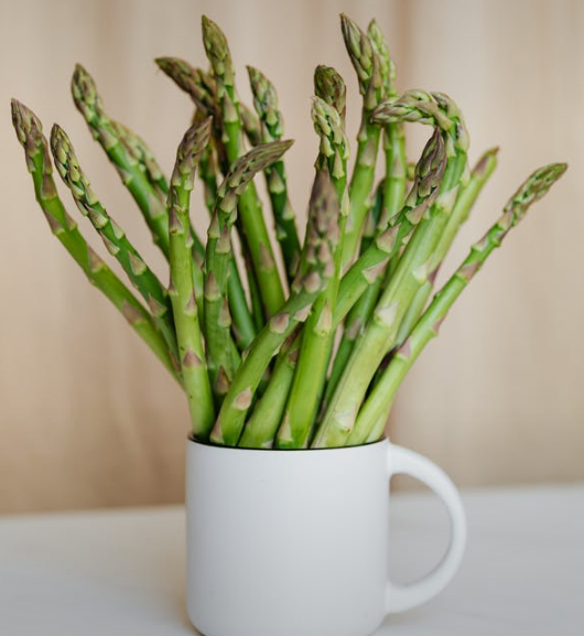 KristenJakobitz's tweet photo. If you need more vitamin A, vitamin E, niacin, selenium, or iron, then adding #asparagus to your meal is a delicious choice. #health #HealthyFood https://t.co/vQan95NOrI