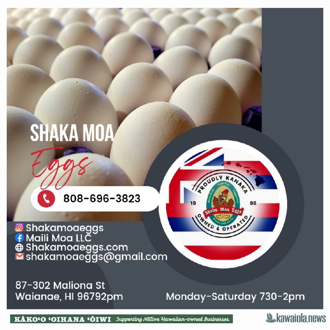 oha_hawaii's tweet photo. Kāko‘o ‘Oihana ‘Ōiwi - Supporting Native Hawaiian-Owned Businesses
Each year OHA gives Native Hawaiian-owned businesses free advertising in an issue of Ka Wai Ola.
Support Native Hawaiian-owned businesses.
https://t.co/W8U5xp1G0S
#KaWaiOlaNews #OHAHawaii #Lahui https://t.co/ak3dZj2VGL