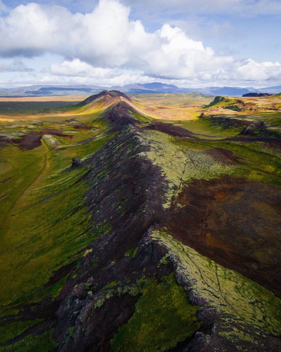 CharliΞ tweet media