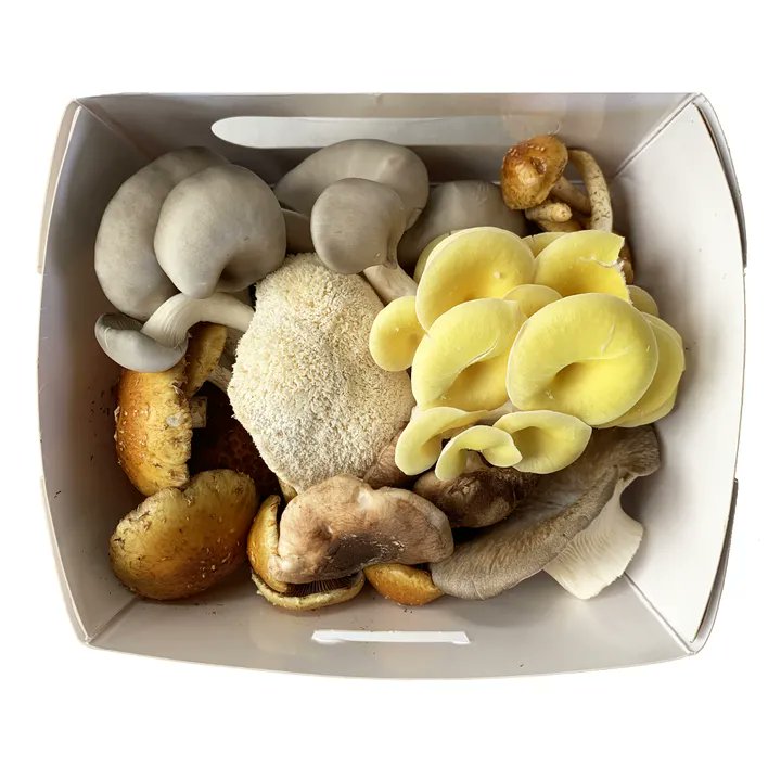 RRCultivation's tweet photo. How many of the 16 varieties of mushrooms we offer have you tried? Brown Beech, King Trumpet, Black Pearl, Pioppino, Maitake...? Start the new year off right by trying some new mushrooms! https://t.co/NjKCww2A4v https://t.co/1UqnnIq41C