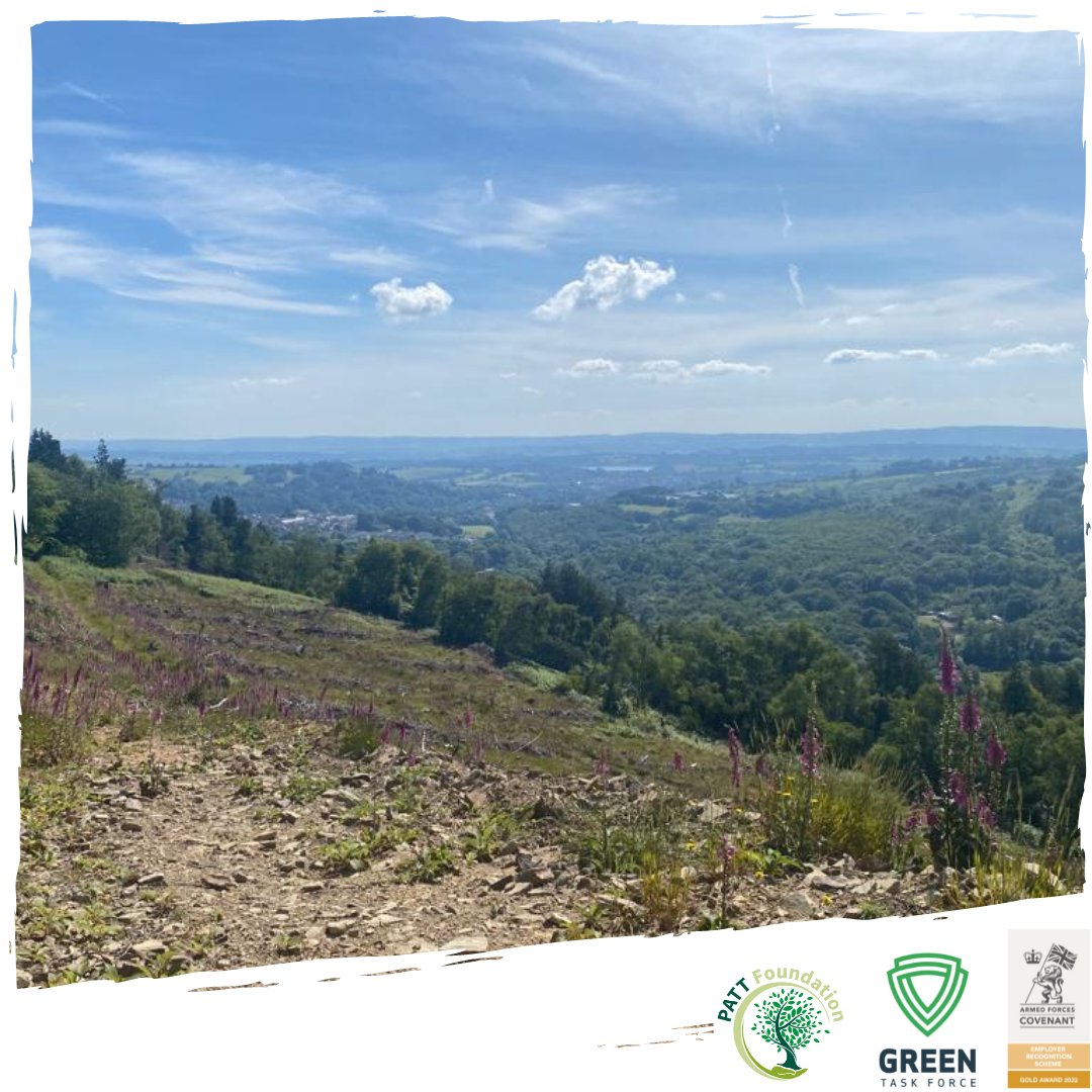 GreenTaskForce1's tweet photo. Some beautiful pictures from The @GreenTaskForce1 Wales (#Cymru) team, who cleared 30 acres of bracken clearance in #southwales earlier this month!
#GreenTaskForce #PattFoundation #conservation #woodland #veteranshelpingveterans #veteranemployment #woodlandmanagment https://t.co/g2QwOtdJu0