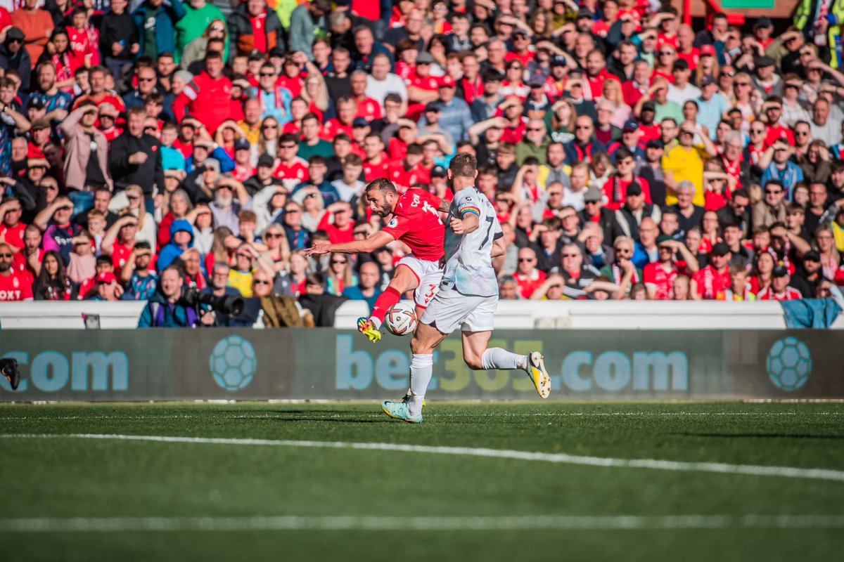 2022 was a special year ❤️🌳