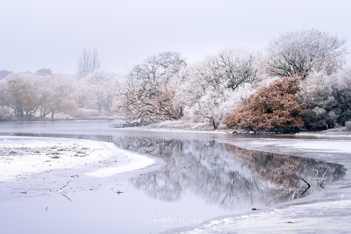 Visit Isle Of Wight (@visitiow) on Twitter photo A frosty #throwback to the recent cold spell over Firestone Copse, located between Wootton and Havenstreet.🌳❄️
ℹ️ Find out more about this forest, here: bit.ly/FirestoneCopse…
📸 @CJClandscapes
#IsleofWight #IOW #LoveGreatBritain #UNESCO #AONB #HantsDaysOut <a href="/ForestryEngland/">Forestry England</a> A frosty #throwback to the recent cold spell over Firestone Copse, located between Wootton and Havenstreet.🌳❄️
ℹ️ Find out more about this forest, here: bit.ly/FirestoneCopse…
📸 @CJClandscapes
#IsleofWight #IOW #LoveGreatBritain #UNESCO #AONB #HantsDaysOut <a href="/ForestryEngland/">Forestry England</a>