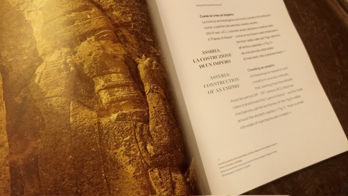 savioli_alberto's tweet photo. A #Udine fino al 30 aprile, sarà possibile visitare la #mostra archeologica "Dal centro dell'Impero", che racconta il primo impero globale della storia, l'Impero Assiro. Segnalo il catalogo, molto bello e con splendide illustrazioni. #assiri @uniud https://t.co/qRh8iqUXox