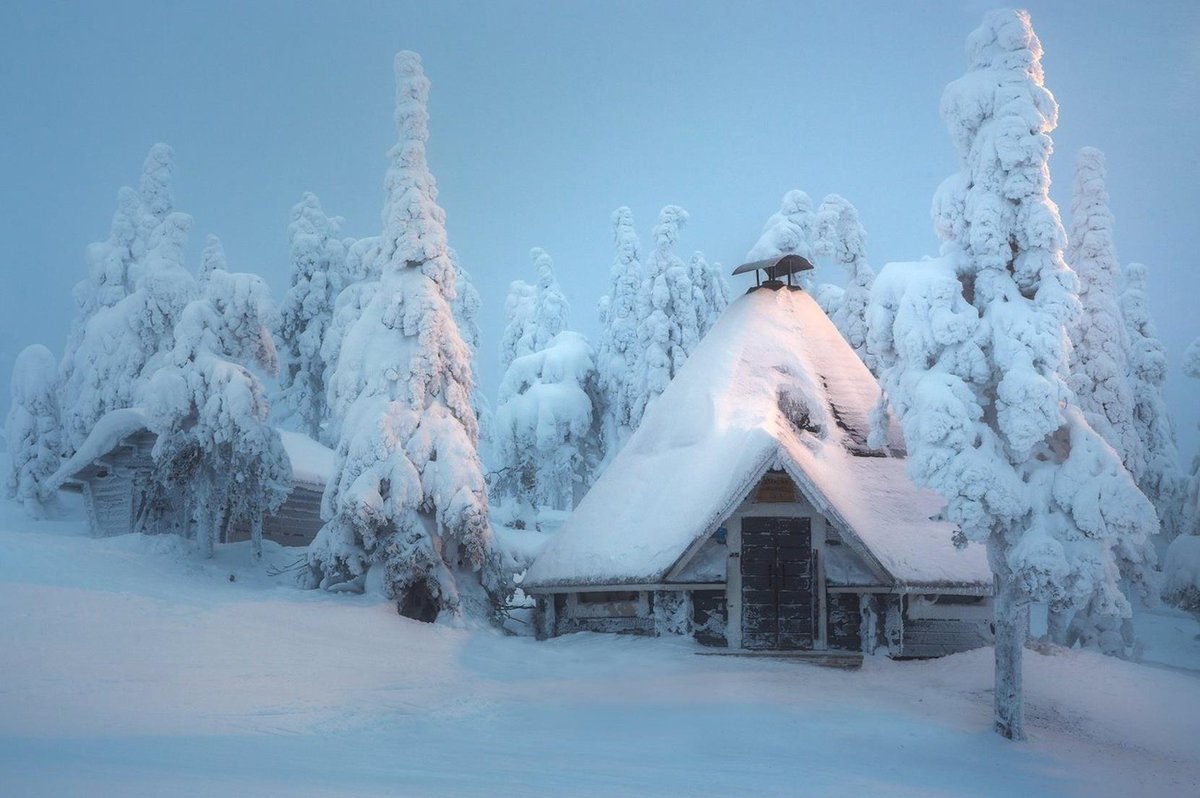 Александр Венич 🐾 tweet media