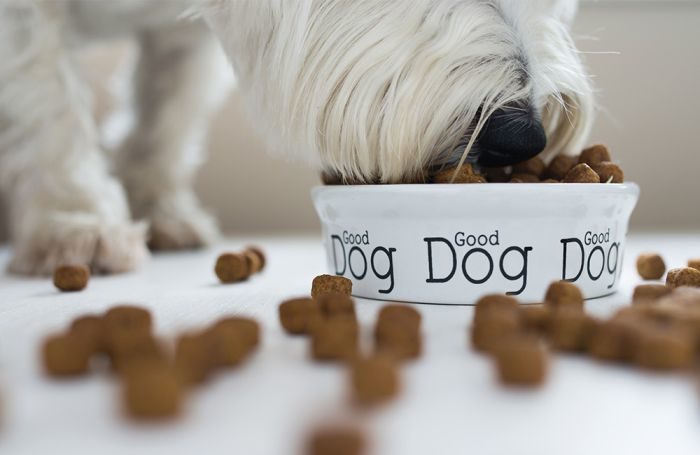 petfoodindustry tweet picture