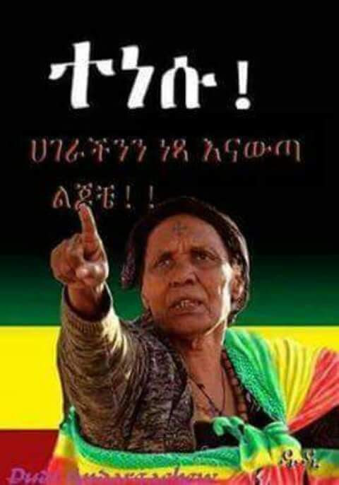 ErythreanSea's tweet photo. @zagiwe1 @AbrarSuleiman @NeaminZeleke @charla120 @EmishawEskedar @AmharaHRGW @DemekeHasen @AbiyAhmedAli @AserseKefale @SahleWorkZewde https://t.co/djkggnOkt6