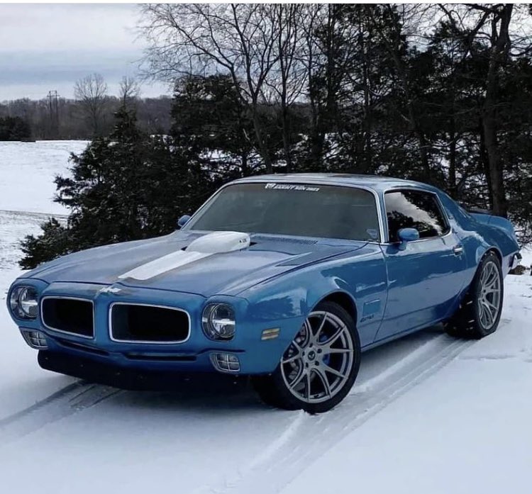 Kristenfirebird 🇨🇦 tweet media