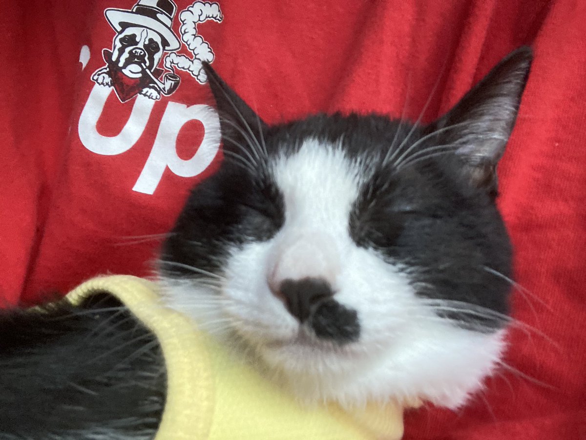 アユミ tweet media