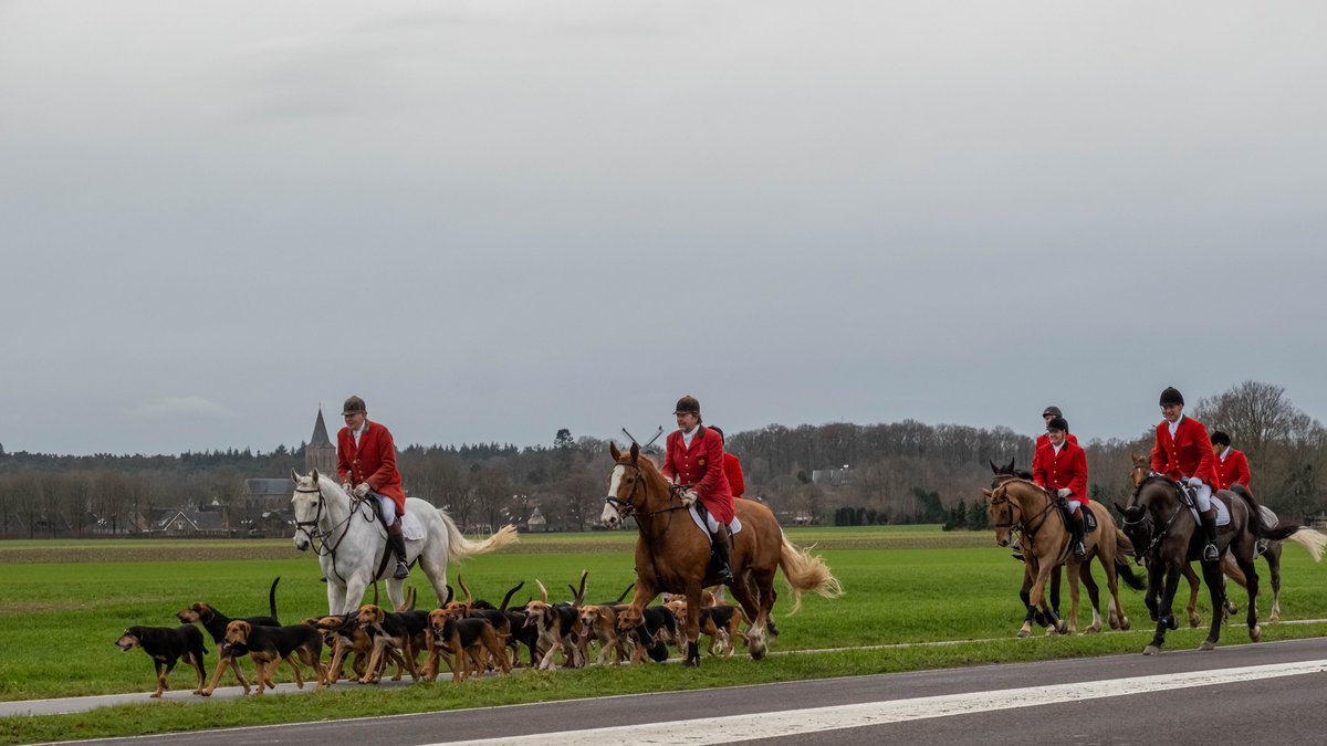 burryandenbrink's tweet photo. De #Jachtvereniging #Soestdijk had vandaag een #slipjacht in #montferland #Bergh #zeddam #paarden #honden #JVS https://t.co/2TVSZTIsVP