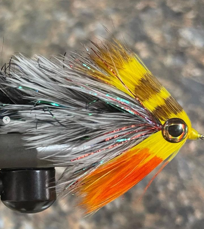 Saltwateronfly's tweet photo. appsouthflyco
4.5 in πͺΆ changer possibly imitate a big thread fin shad or small yellow perch either way I bet the small jaws will eat it lol. Tied on a couple Daiichi x452s. #daiichiff #tnflyco #featherchanger #mroflies #smalliesonthefly https://t.co/a5jMjoLpcC