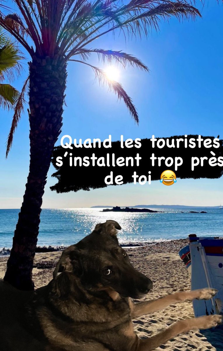 Promis on a rien contre 
#touriste