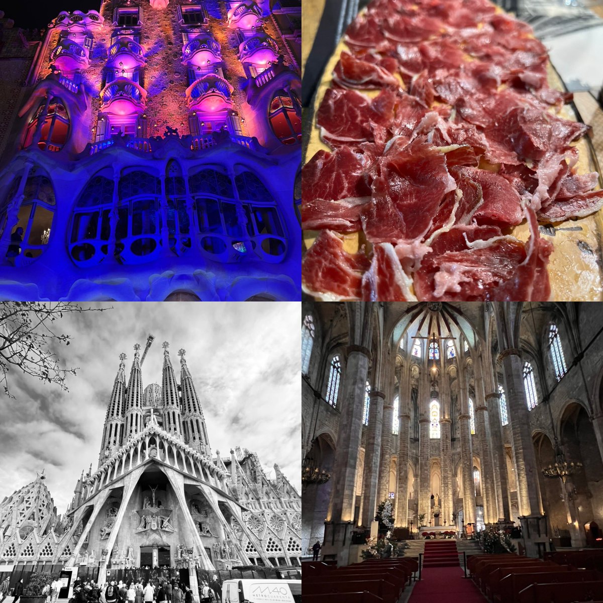 Breid O'Brien tweet media