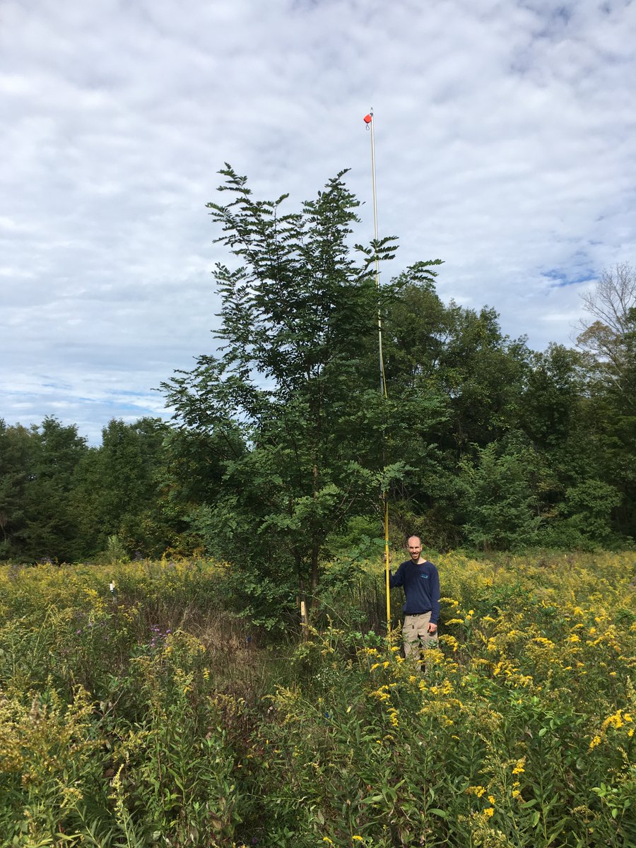 Duncan Menge tweet media