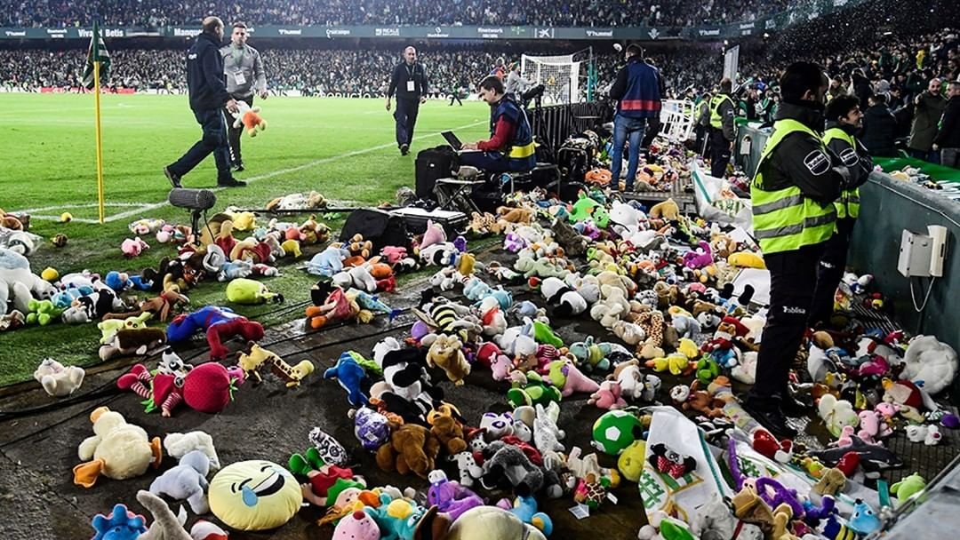 Sofihane 🇲🇦 🇫🇷 tweet media