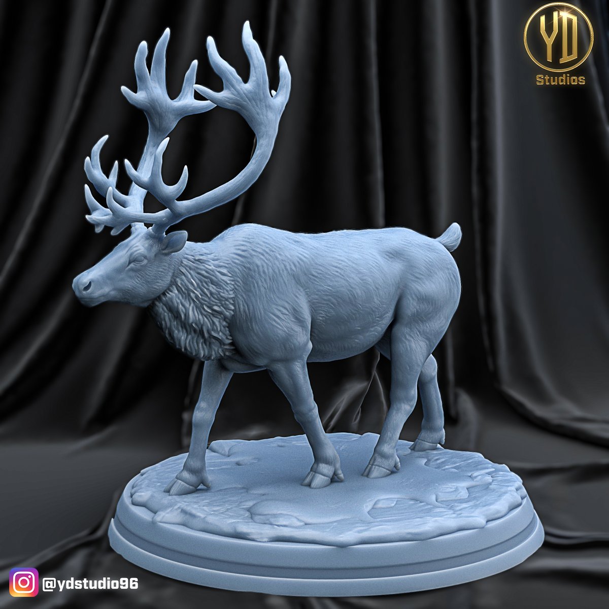 YD STUDIO tweet media