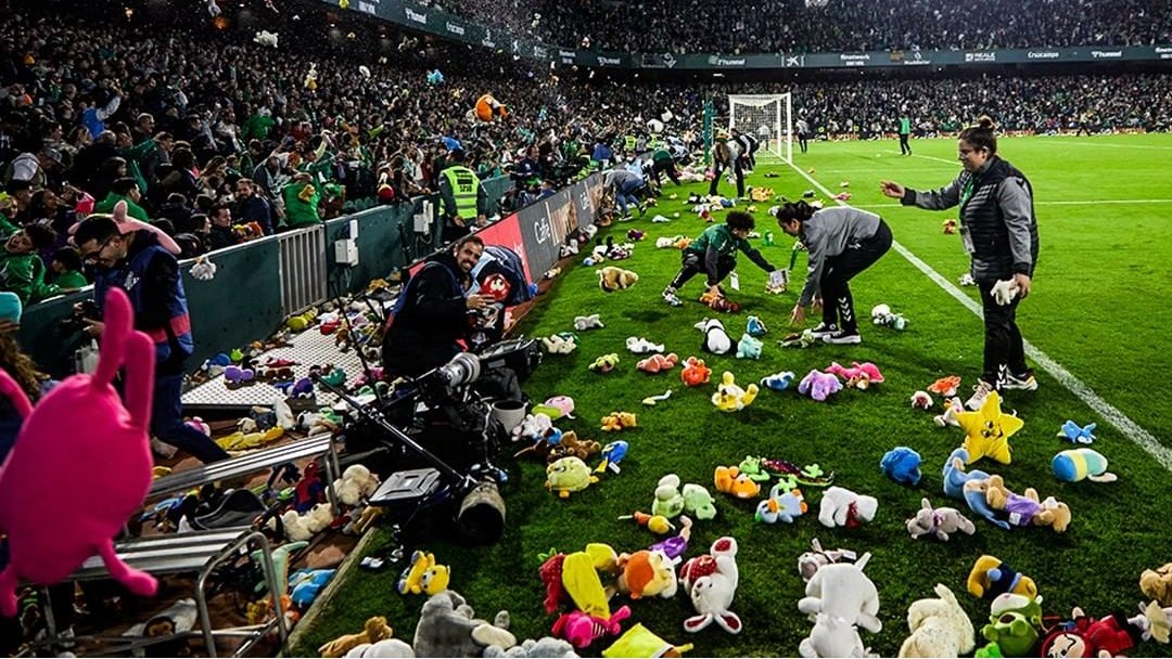 Sofihane 🇲🇦 🇫🇷 tweet media