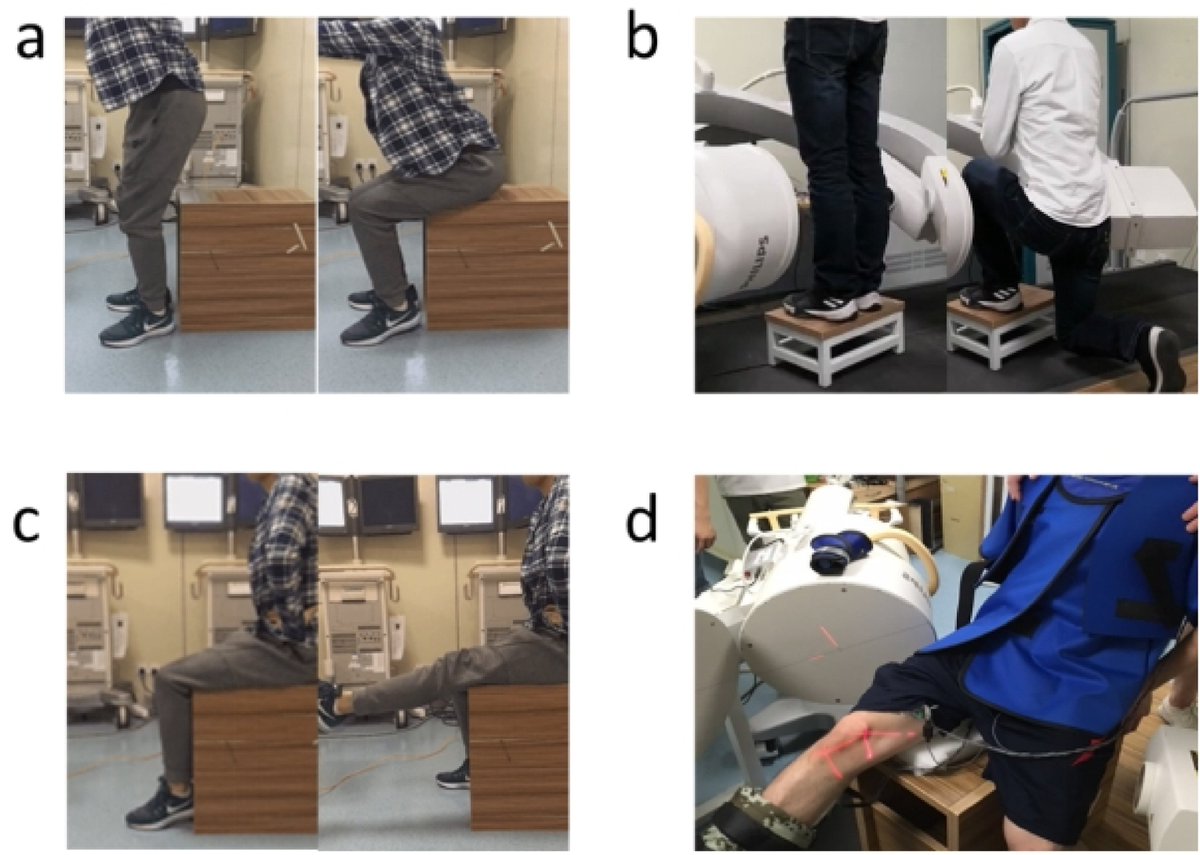 Science Article Length