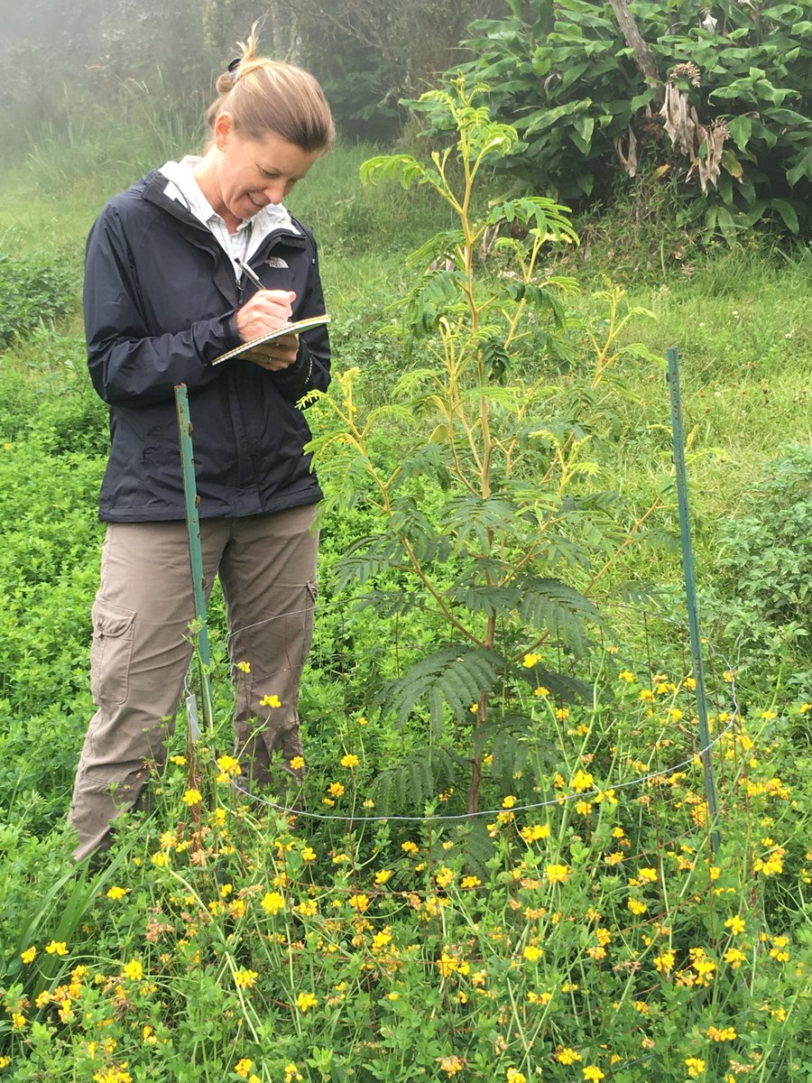 Duncan Menge tweet media