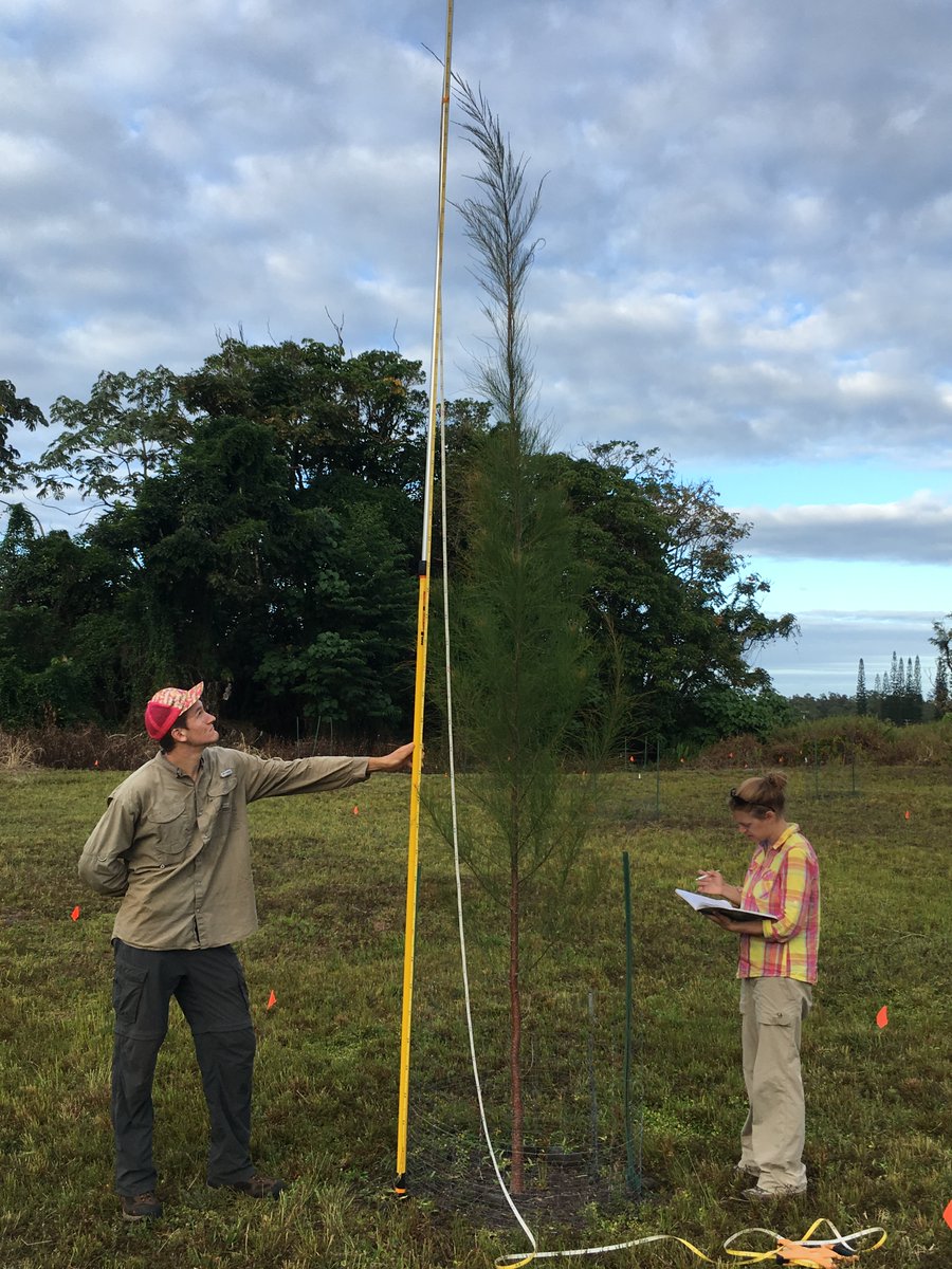 Duncan Menge tweet media