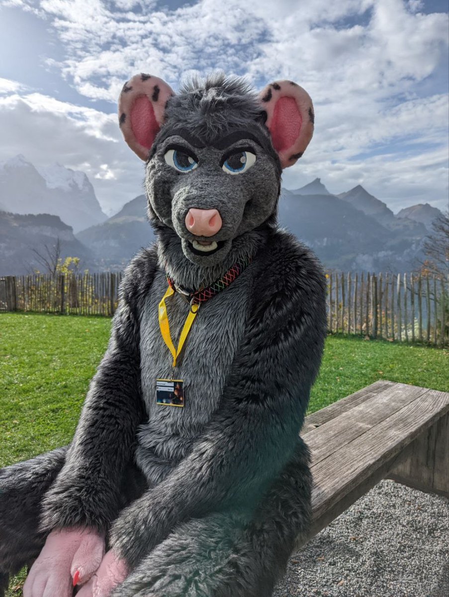 Ozzie is remembering one of the best vacations of the year on this last #FursuitFriday of 2022