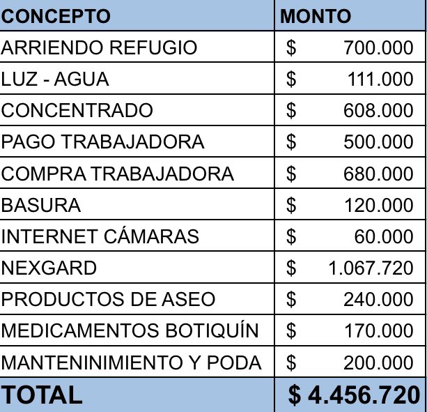 nana1gc's tweet image. POR FAVOR🙏🏻🙏🏻 
El refugio necesita de 244 personitas que donen 10.000 ( o lo que puedan) para lograr la meta de fin de mes 🥹🙏🏻
Debemos pagar todo esto antes del 2 y ustedes saben que se vienen dos en los que casi todos estarán ocupados en familia😞 
un RT también es ayuda💖