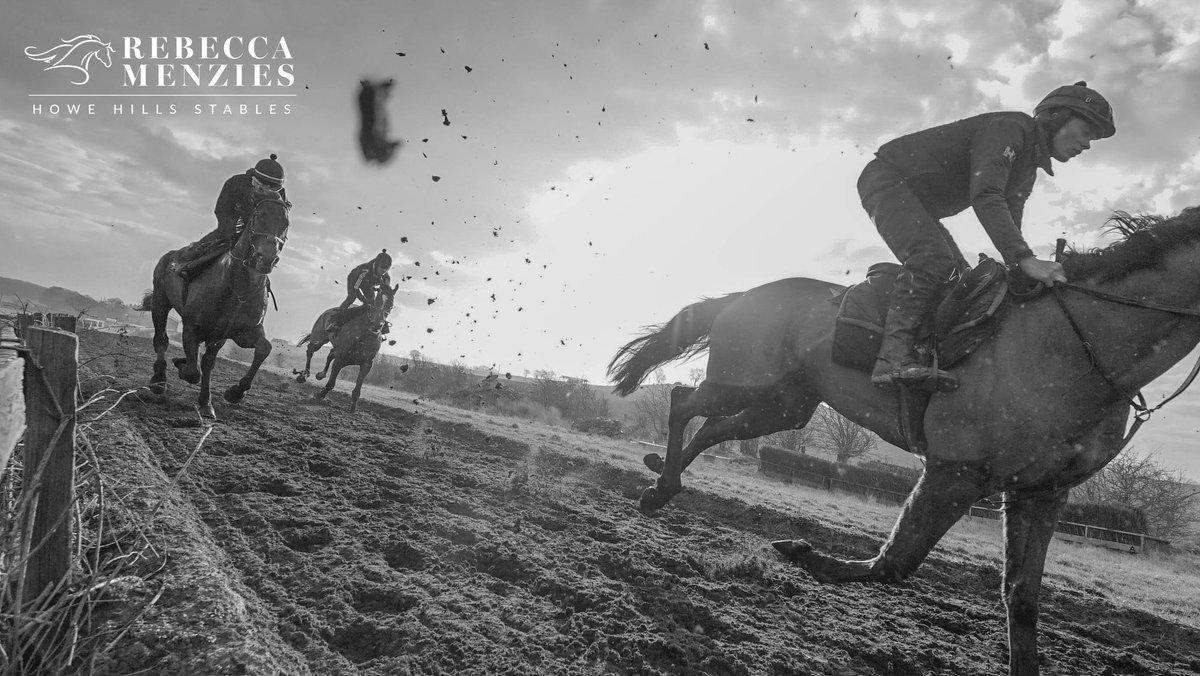 RebeccaEMenzies's tweet photo. Striding into the new year #striding #horsestride #teammenzies #stablelife #horse #racehorse #racehorsephotography #horsetraining #jockey #gallop #horselove #horserider #horseriding https://t.co/TVY0wQA4U6