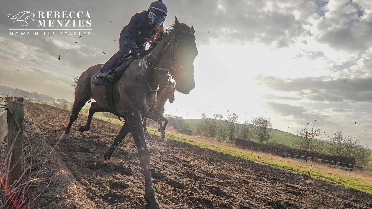 RebeccaEMenzies's tweet photo. Striding into the new year #striding #horsestride #teammenzies #stablelife #horse #racehorse #racehorsephotography #horsetraining #jockey #gallop #horselove #horserider #horseriding https://t.co/TVY0wQA4U6