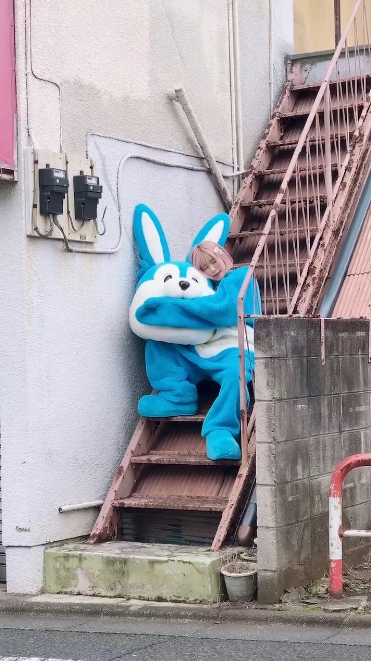 としくん としくん🐈💜🌻 on X