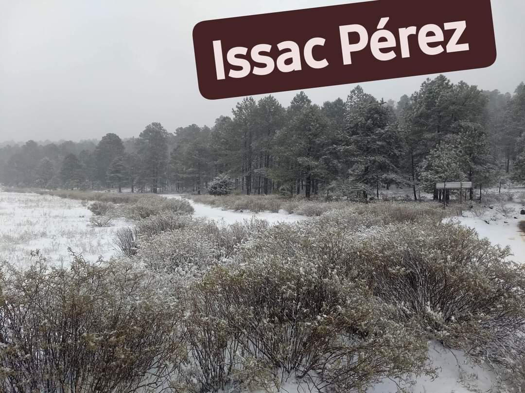 webcamsdemexico's tweet photo. Reporta @ClimaChihuahua1, fuerte #Nevada sobre la localidad conocida como #ElParaje o #Lagunael3 en el municipio de #Madera #Chih.
Fotos tomadas por #ISSACPEREZ

https://t.co/6PU8OBtNcN