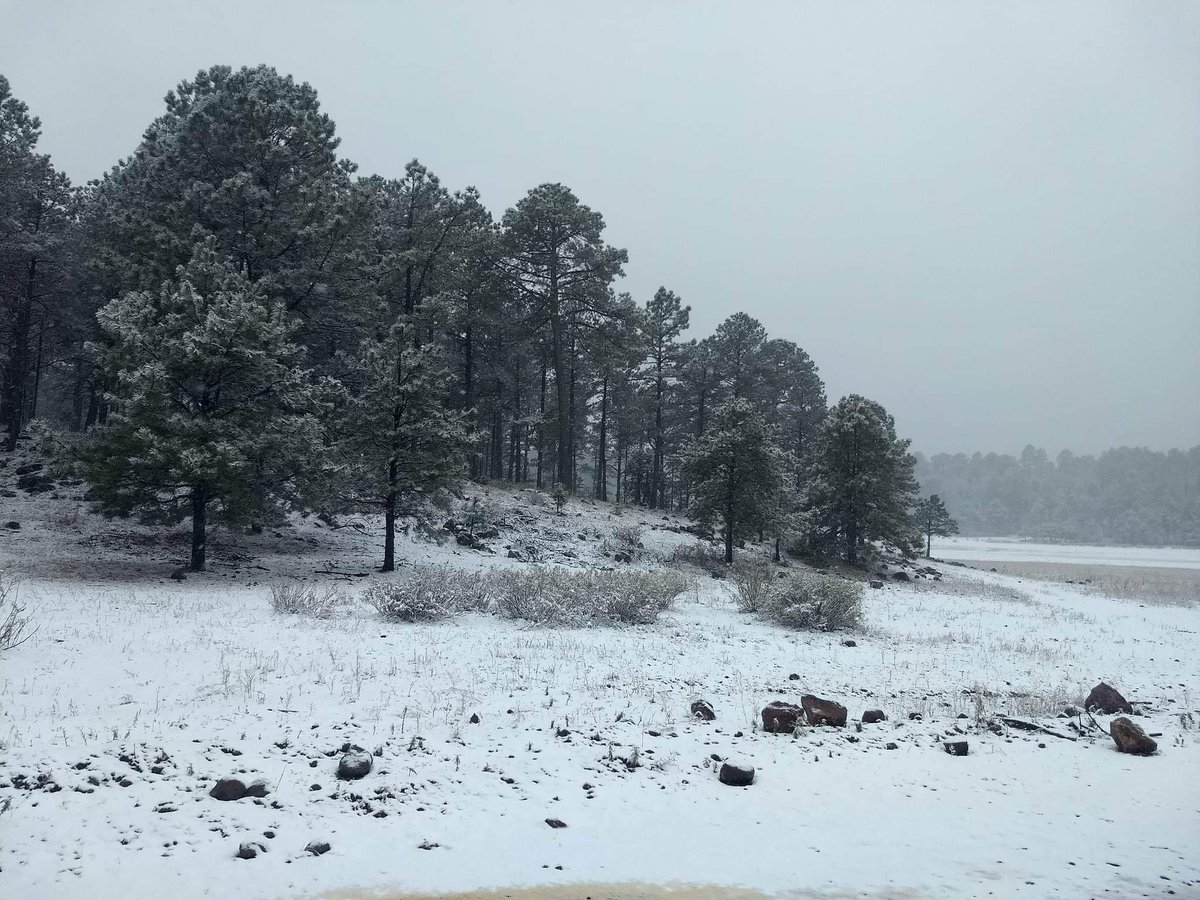 webcamsdemexico's tweet photo. Reporta @ClimaChihuahua1, fuerte #Nevada sobre la localidad conocida como #ElParaje o #Lagunael3 en el municipio de #Madera #Chih.
Fotos tomadas por #ISSACPEREZ

https://t.co/6PU8OBtNcN